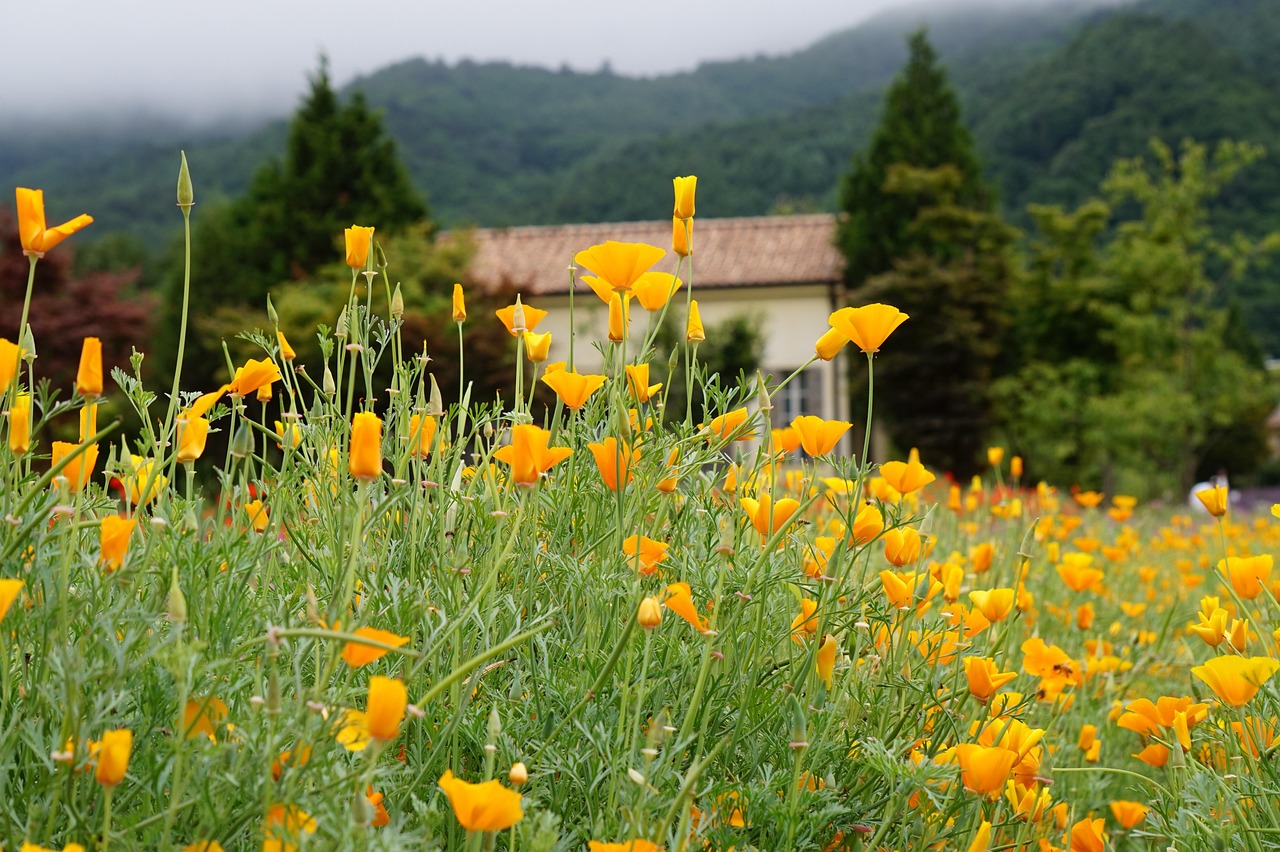 阻止技术支持辅助恶性环境的无异于海底捞针