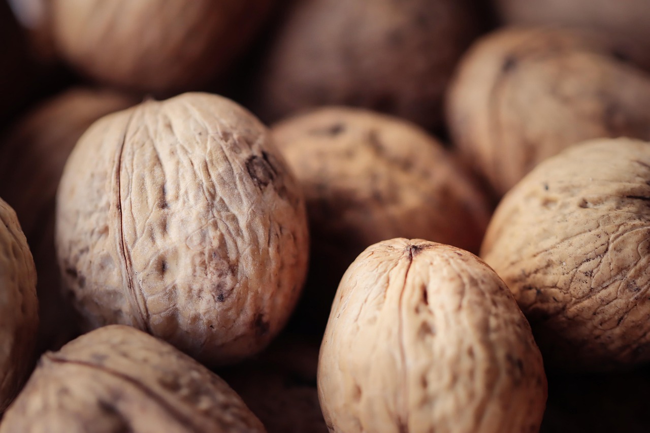 实名物联卡：uc号怎么注册账号