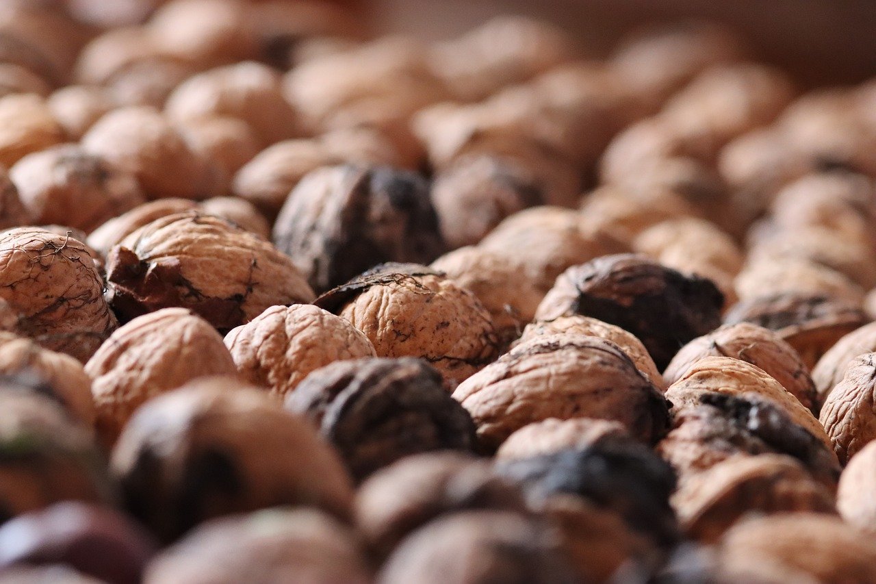 DDOS平台|乐清注册会计代理工作室