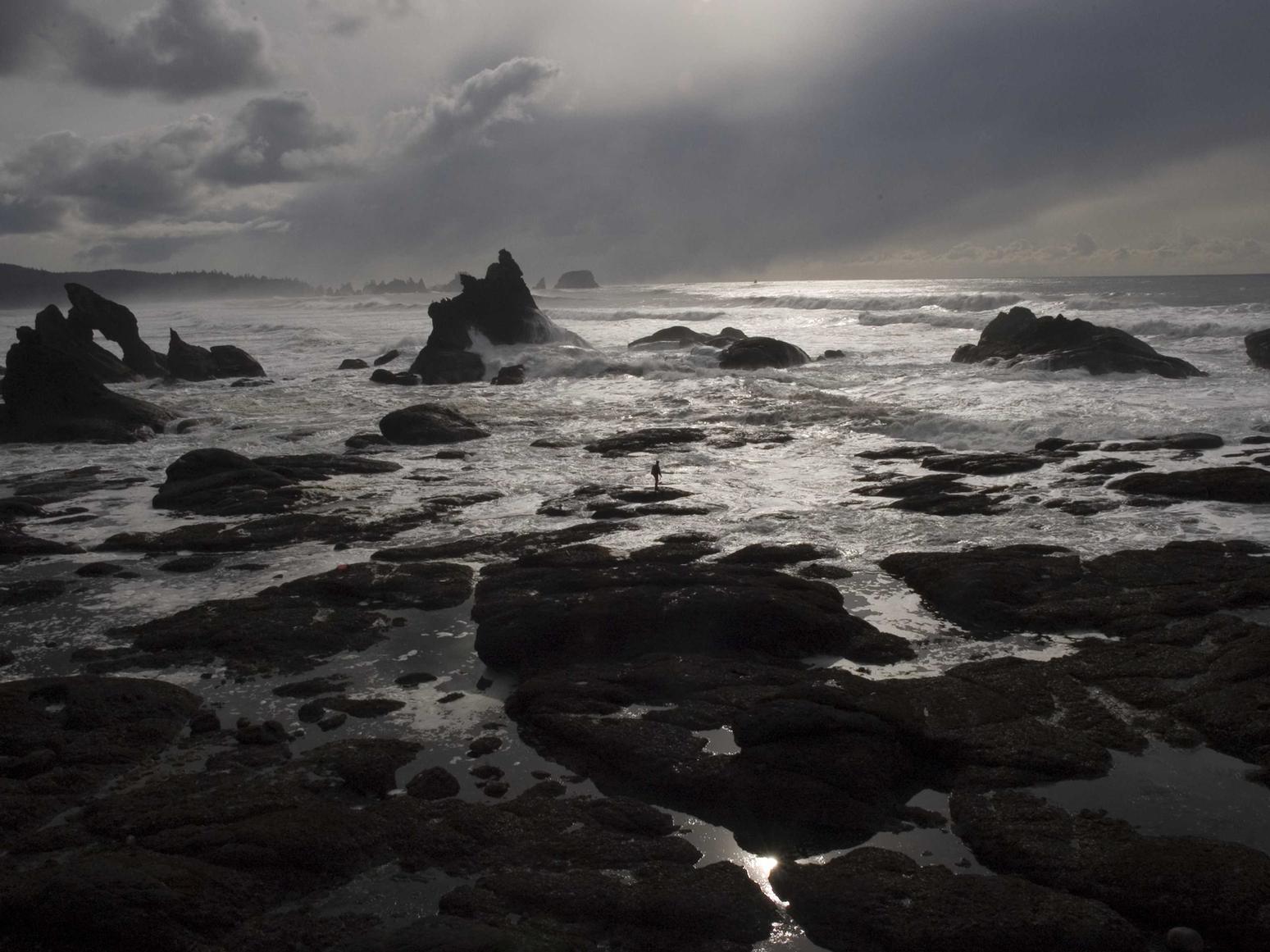 无嘴黄骆驼:期货开户官方账号查询平台