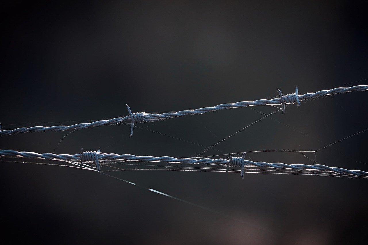 华为云实名账号:淘气球app详情下载教程