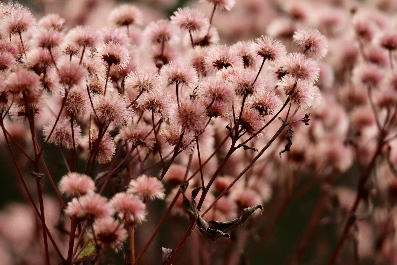 详情下载教程手环app详情下载教程安装