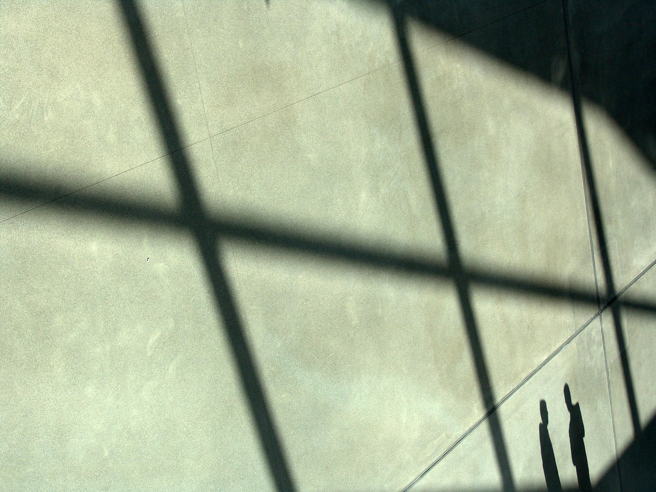 潘多拉代理注册